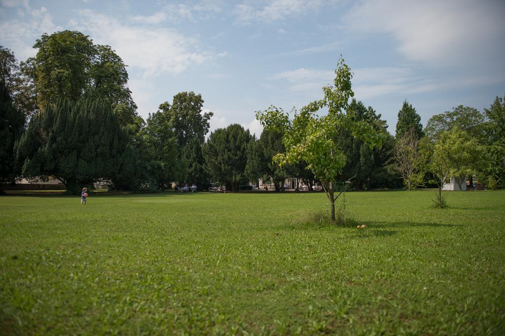 Parkhotel Tillmanns Eltville am Rhein Extérieur photo